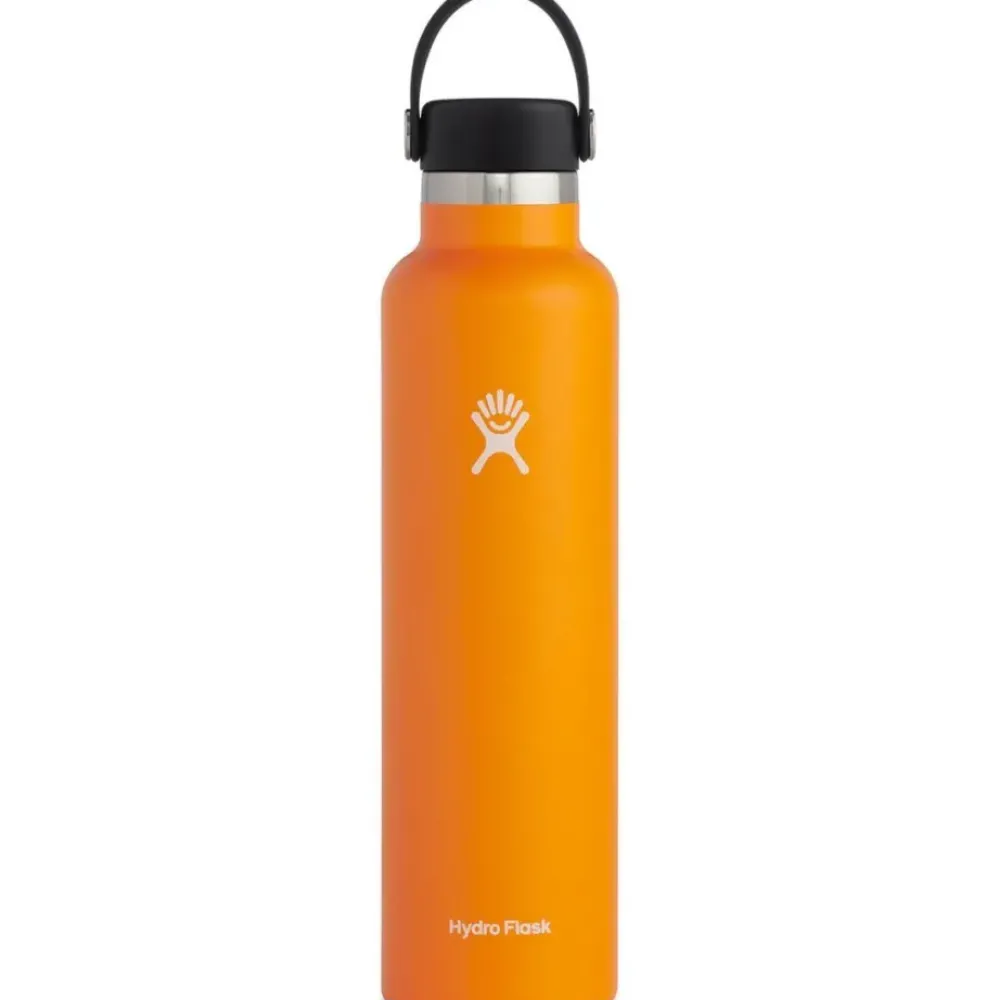 HYDRO FLASK 24oz Standard Mouth Bottle w/ Flex Cap New