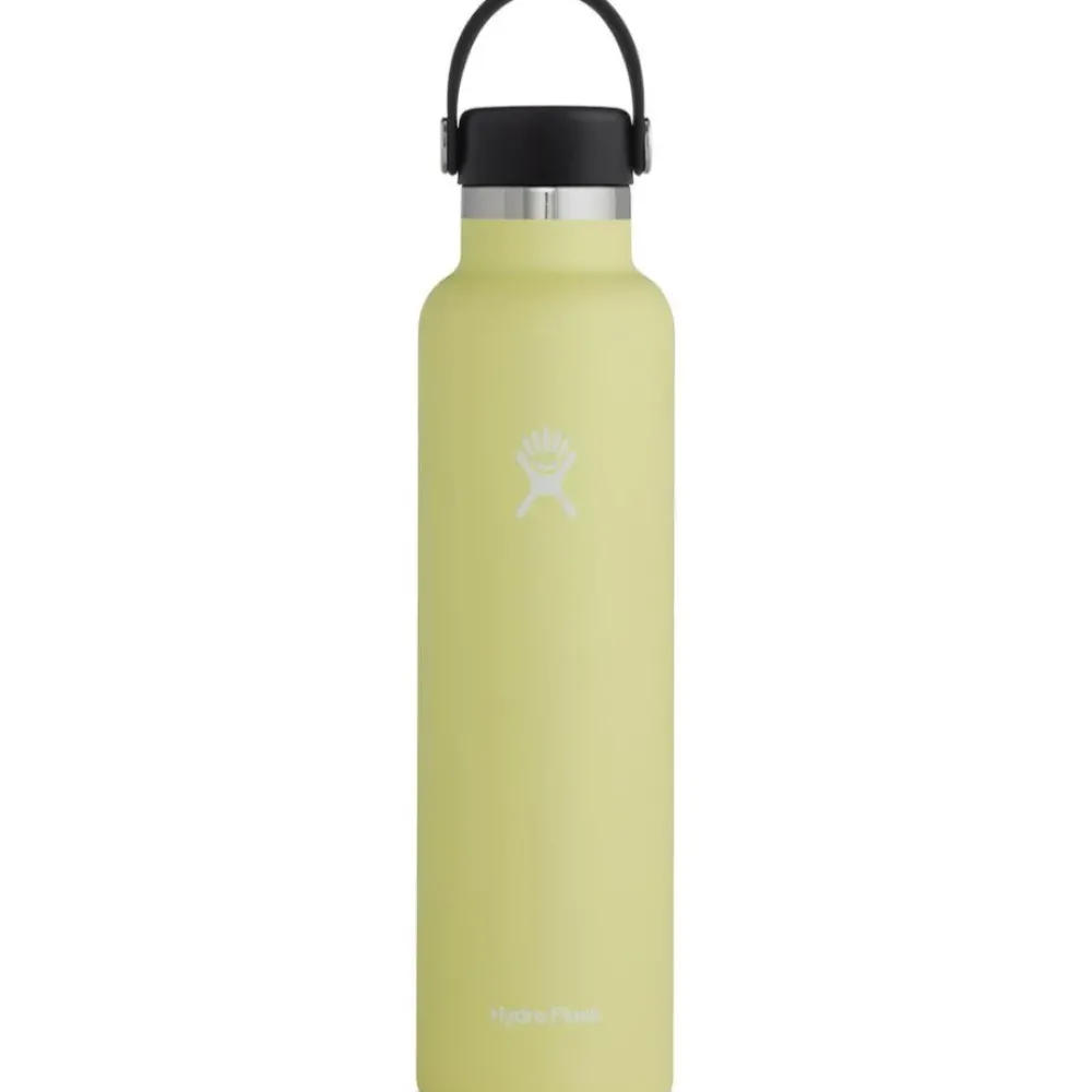 HYDRO FLASK 24oz Standard Mouth Bottle w/ Flex Cap New
